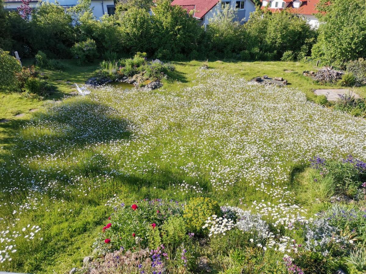 Moderne Ferienwohnung Gartenblick Amtzell Exterior photo